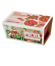 聖新陶芸 エンジョイプランター べジ ミニトマト GD931-02