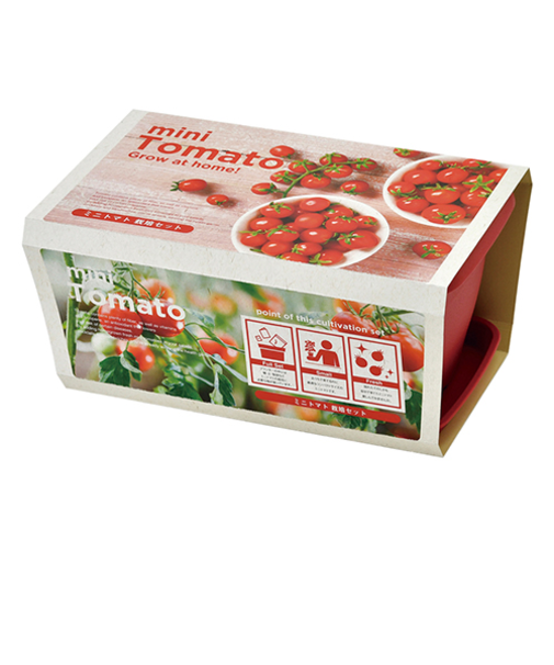 聖新陶芸　エンジョイプランター　べジ　ミニトマト　GD931－02