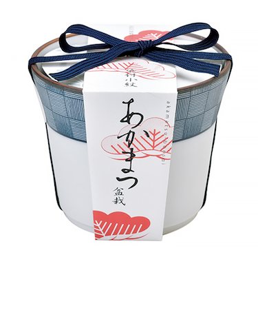 聖新陶芸　染付小紋盆栽栽培セット　GD452‐04　赤松