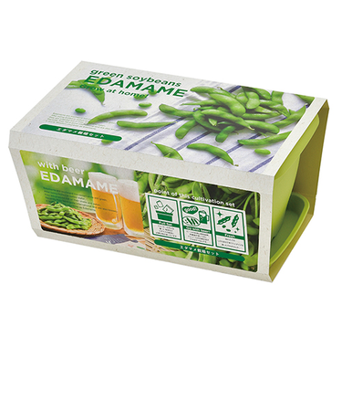 聖新陶芸　エンジョイプランター　べジ　エダマメ　GD931－01