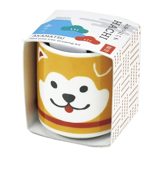 聖新陶芸　お芽でたおちょこハチ　茶　GD922－01