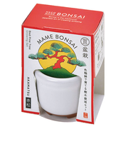 聖新陶芸 HACOMAME盆栽栽培セット GD965‐2 赤松