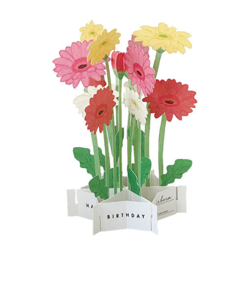 グリーティングライフ　バースデーブルーミングカード　KE－28　ガーベラ