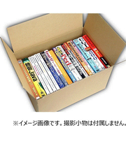 神田　無地段ボール　B5サイズ　1枚入