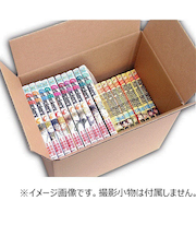 神田　マンガ単行本S　40冊用　28×19×25cm　1枚入