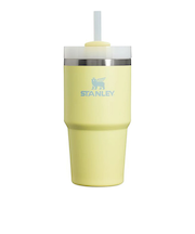 スタンレー（STANLEY）　H2.0真空スリムクエンチャー　0.6L　ポメロ