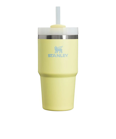 スタンレー（STANLEY）　H2.0真空スリムクエンチャー　0.6L　ポメロ