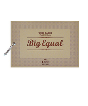 ライフ 単語カード ビッグイコール P315B 100枚