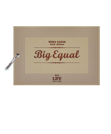 ライフ　単語カード　ビッグイコール　P315B　100枚