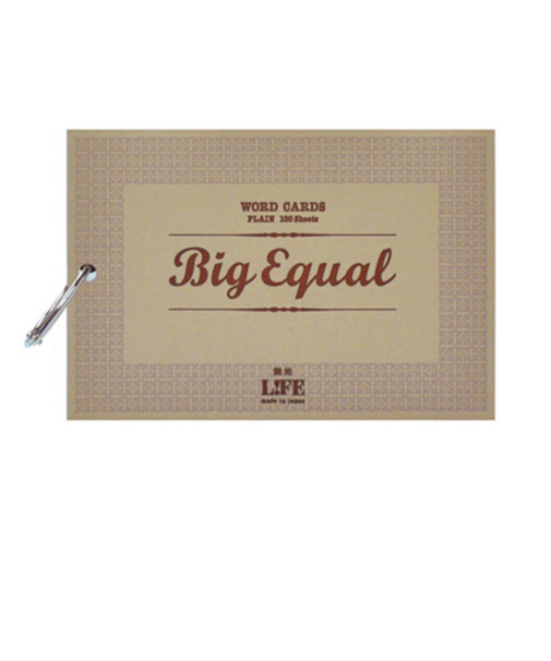 ライフ　単語カード　ビッグイコール　P315B　100枚