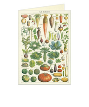 カバリーニ(CAVALLINI) グリーティングカード ジャルダン