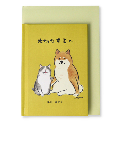 ホールマーク（Hallmark）　グリーティングカード　絵本　励まし　816841　大切なキミへ2