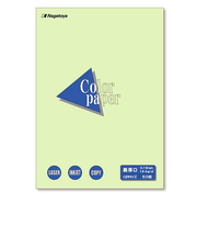 長門屋商店　カラーペーパー　ナ－8506　ハガキ最厚口　若草　50枚入