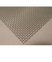 Eggs　ステン金網100メッシュ　100x200mm