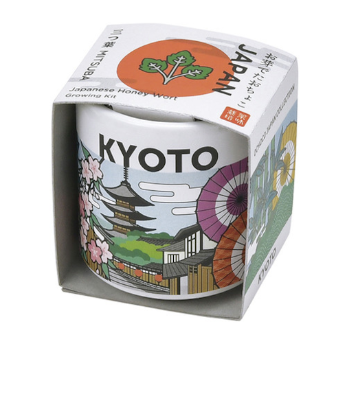 聖新陶芸　お芽でたおちょこ京都　三つ葉　GD997‐3