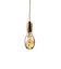 SWAN　SWAN　BULB　VF　SWB－F065L