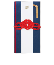 マークス（MARKS）　結婚祝　MEN’SMATSU　金封　KNP‐GB91‐NV　ネイビー