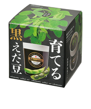 聖新陶芸　育てる黒えだ豆栽培キット　GD995