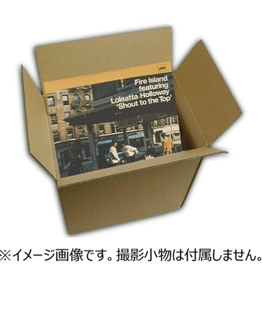 神田　LP（12inch）　80枚用　32×32×32cm　1枚入