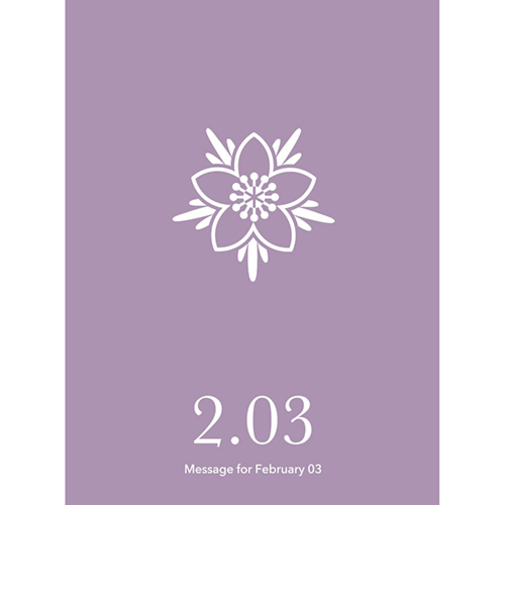 草紙堂　花結びメッセージカード　2月3日