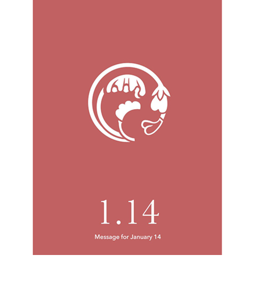 草紙堂　花結びメッセージカード　1月14日