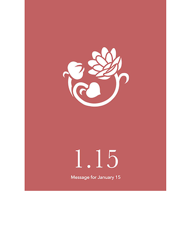 草紙堂　花結びメッセージカード　1月15日