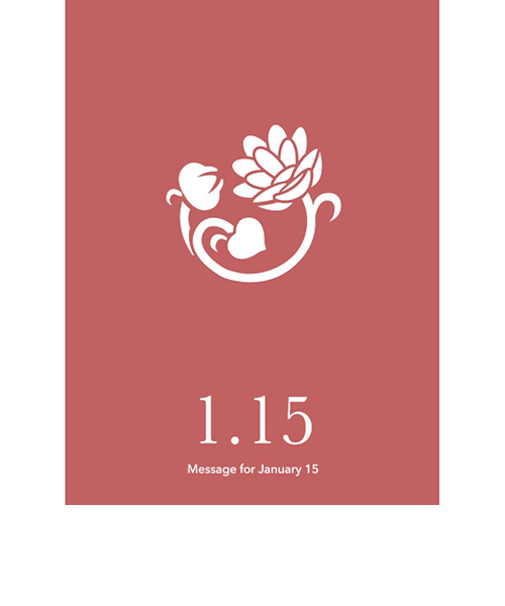 草紙堂　花結びメッセージカード　1月15日