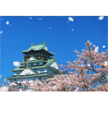 エヌ・ビー・シー　桜舞う大阪城　大阪－034