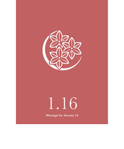 草紙堂　花結びメッセージカード　1月16日