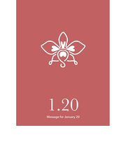 草紙堂　花結びメッセージカード　1月20日