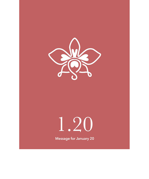 草紙堂　花結びメッセージカード　1月20日