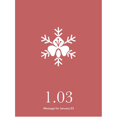 草紙堂　花結びメッセージカード　1月3日