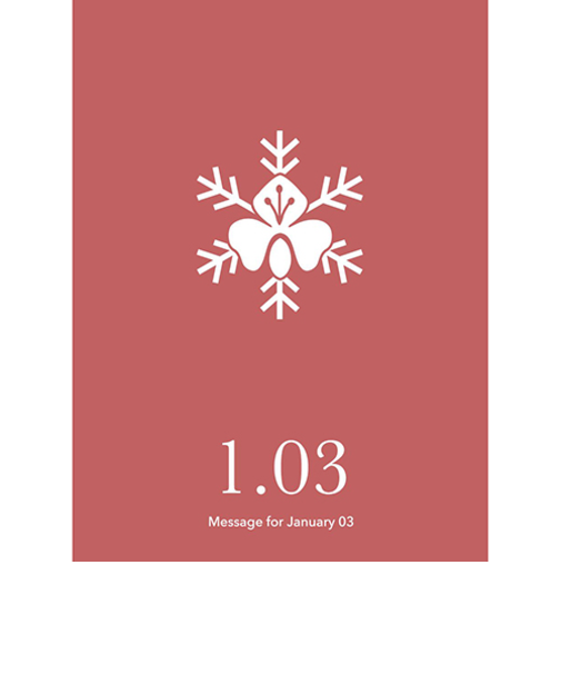 草紙堂　花結びメッセージカード　1月3日