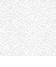 インディゴ　ラッピングペーパー　土佐和紙ミニ　PW289　青海波　シロ