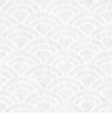 インディゴ　ラッピングペーパー　土佐和紙ミニ　PW289　青海波　シロ