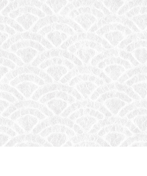 インディゴ　ラッピングペーパー　土佐和紙ミニ　PW289　青海波　シロ