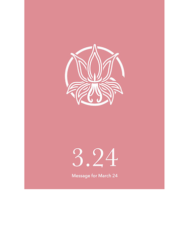 草紙堂　花結びメッセージカード　3月24日