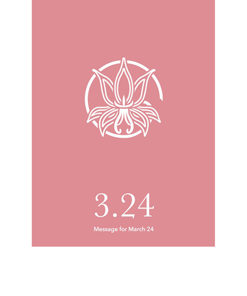 草紙堂　花結びメッセージカード　3月24日