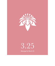 草紙堂　花結びメッセージカード　3月25日