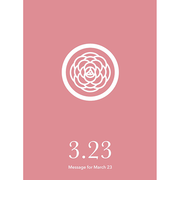 草紙堂　花結びメッセージカード　3月23日