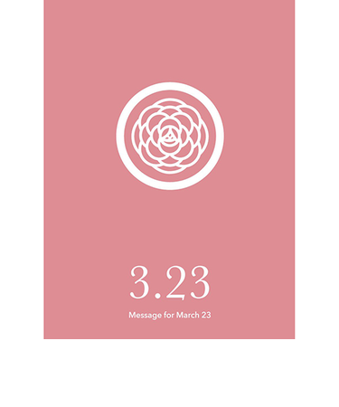 草紙堂　花結びメッセージカード　3月23日