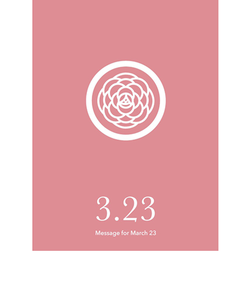 草紙堂　花結びメッセージカード　3月23日