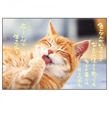アクティブコーポレーション　ネコポストカード　PB－418