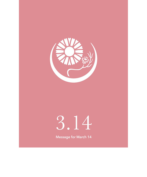 草紙堂　花結びメッセージカード　3月14日