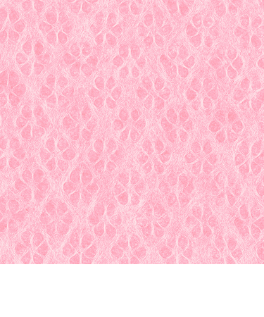 インディゴ　ラッピングペーパー　土佐和紙ミニ　PW294　小梅　コウバイ