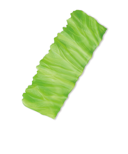 新鮮すぎるお弁当しきり　ベジカベ　G-レタス