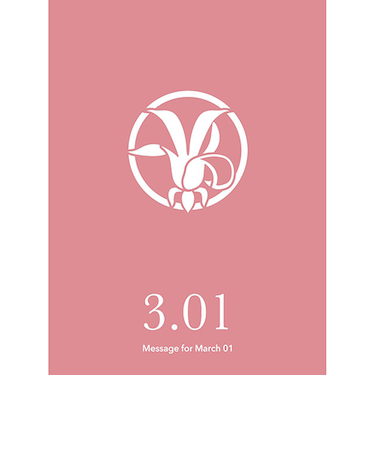 草紙堂　花結びメッセージカード　3月1日