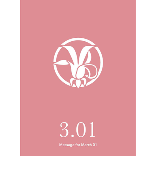 草紙堂　花結びメッセージカード　3月1日