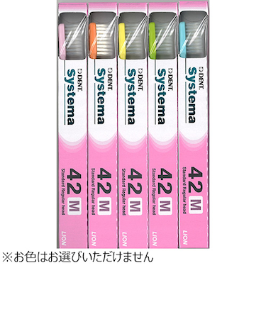 ライオン　DENT．EX　システマ　42M