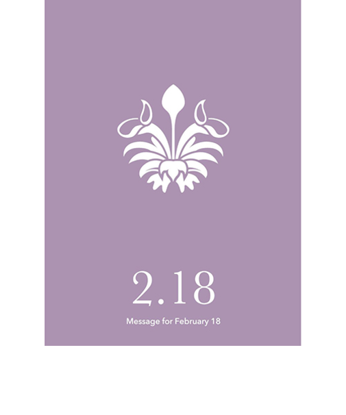 草紙堂　花結びメッセージカード　2月18日